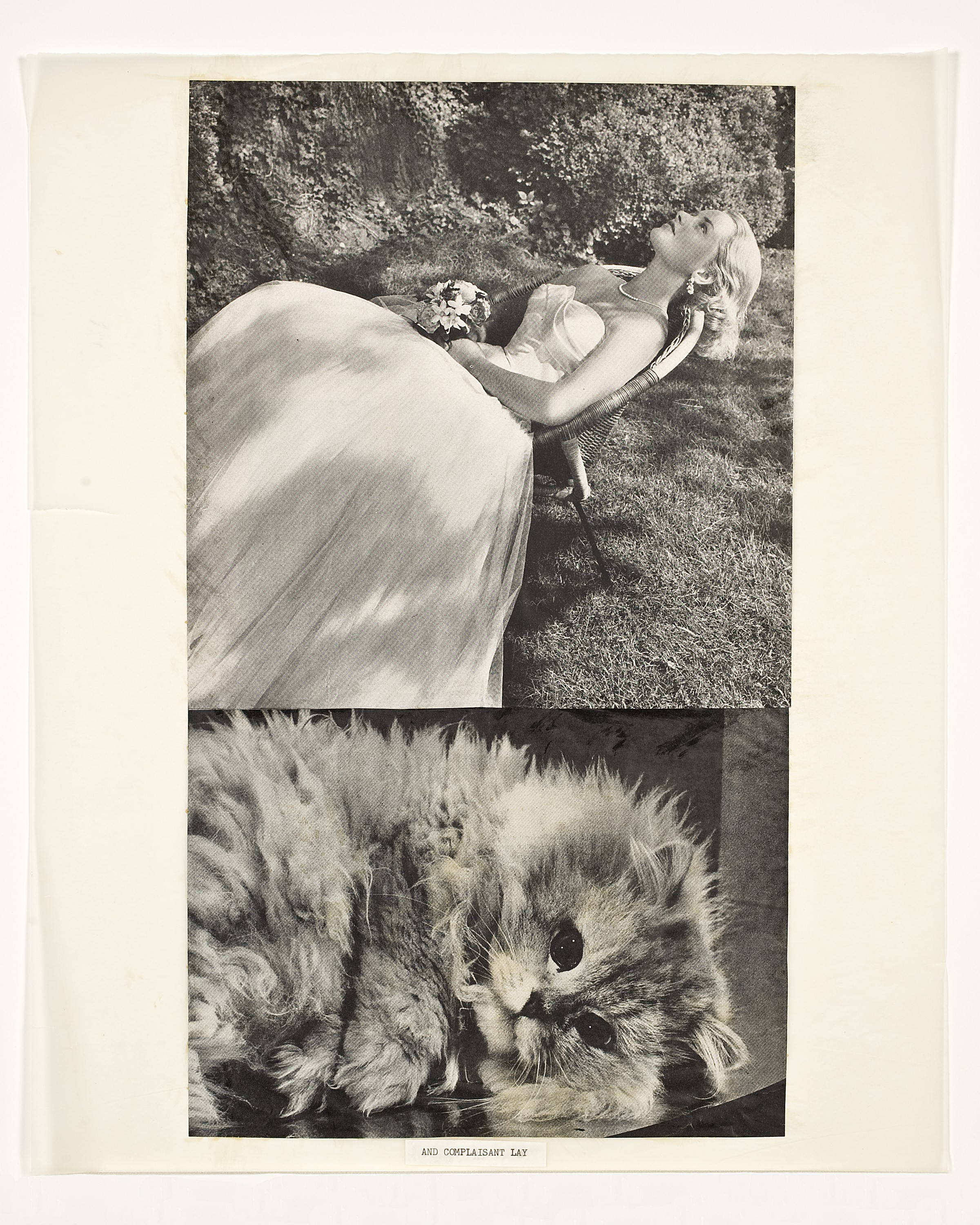 At top, an image of a woman in a large gown reclining in a wicker chair on a lawn. At the bottom, an image of a cat curled on a table facing the camera. At the bottom, the words "AND COMPLAISANT LAY."