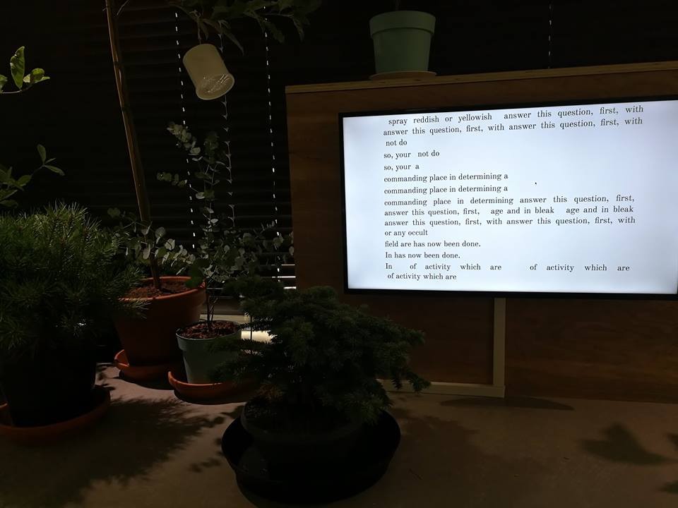 Plants creating poems at Kunstall Trondheim, sounding a lot like Gertrude Stein. Photo by Ida Bencke and the Laboratory for Aesthetics and Ecology.