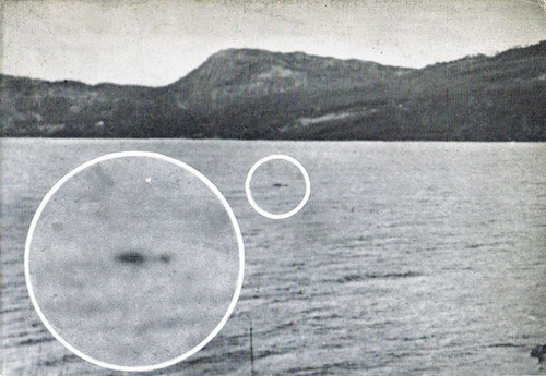 "Analysis of the G.E. Taylor Film." Loch Ness Monster. August 24, 2011.