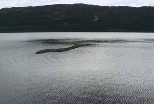 "Loch Ness Monster." Heavens Light.