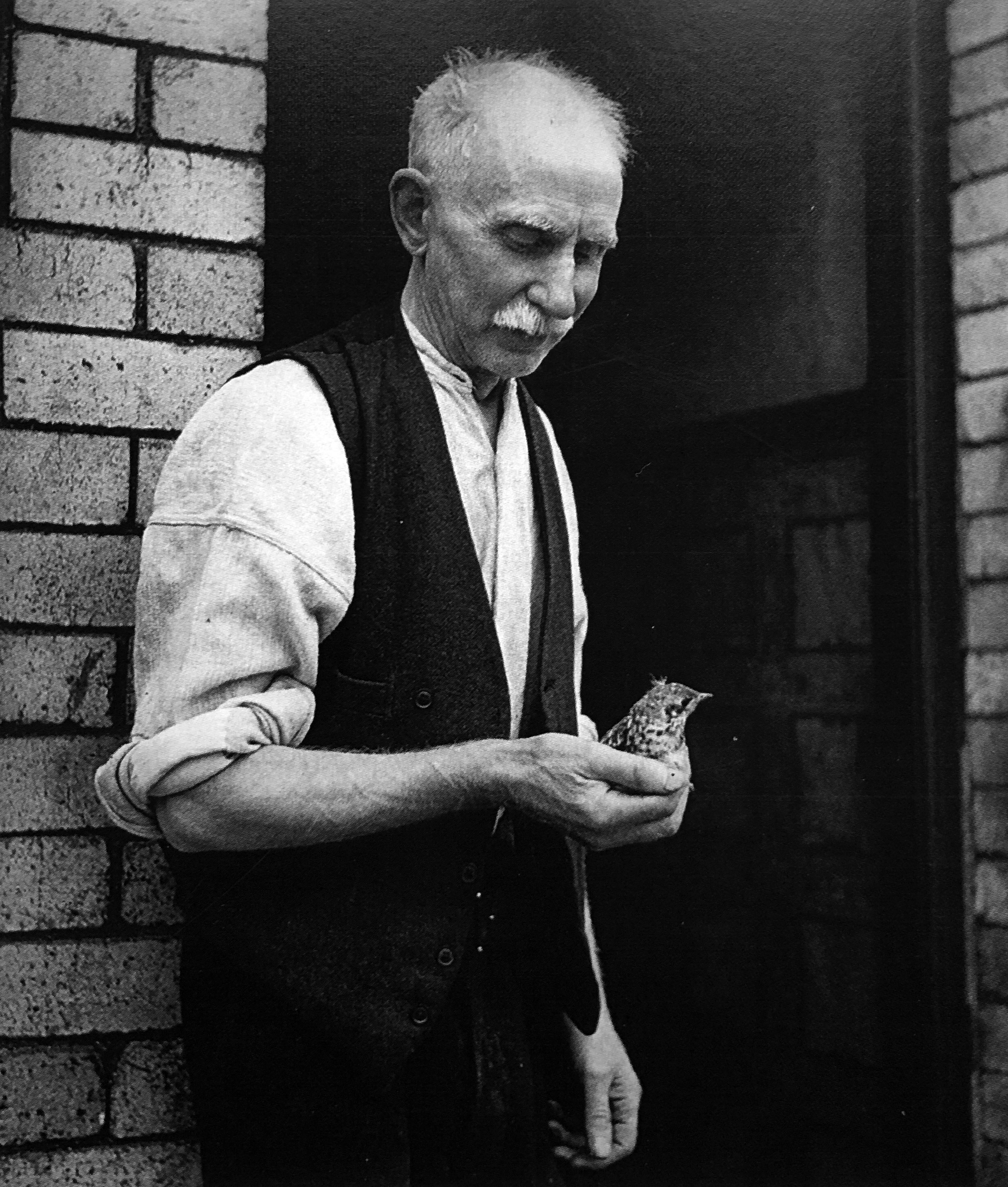Edith Tudor Hart, <em>Man with Bird, Tyneside</em>, c. 1937, courtesy of Peter Suschitzky