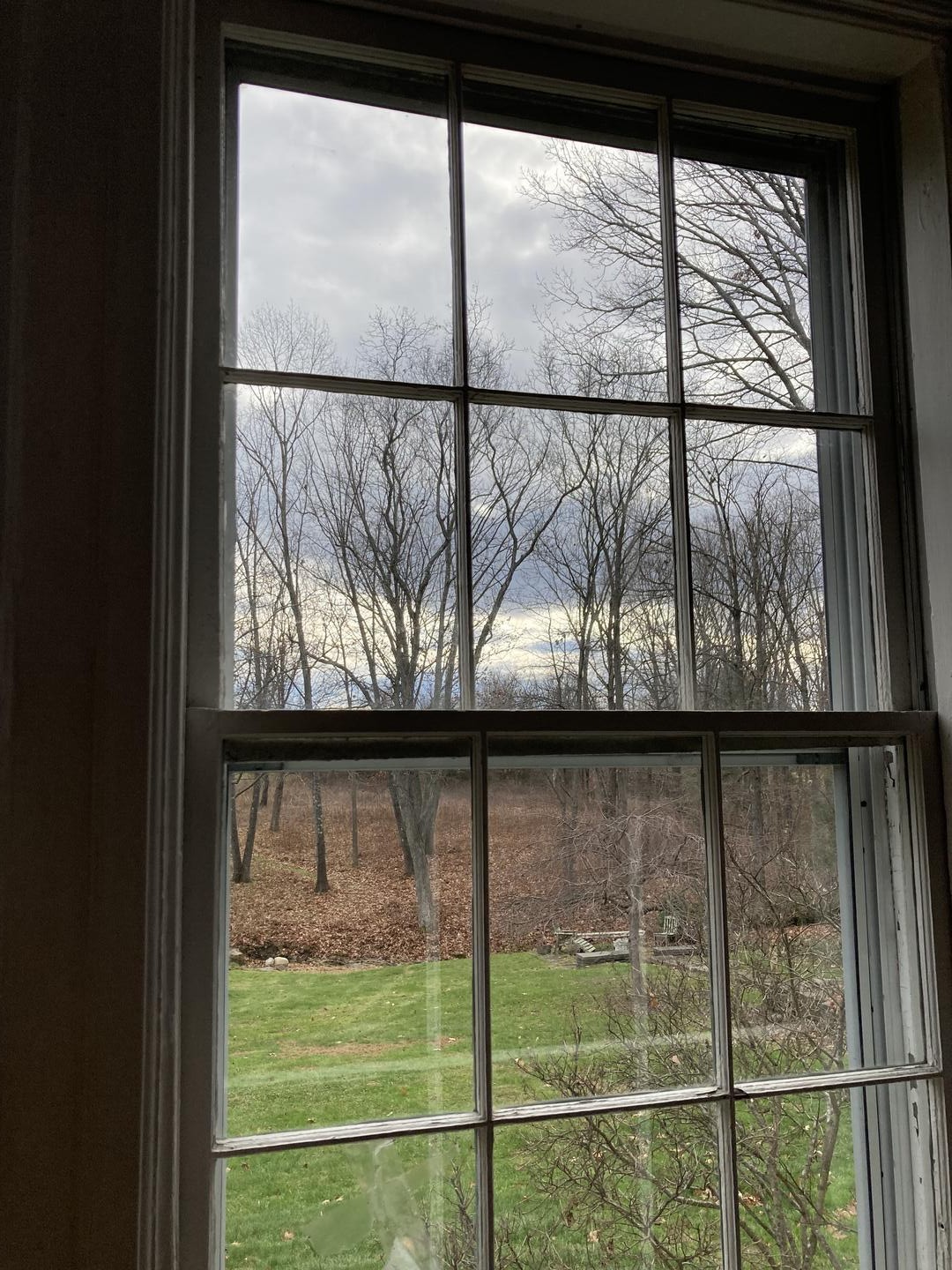 Color photo: view out a window of a green lawn that turns into barren trees with brown leaves or earth at the bottom