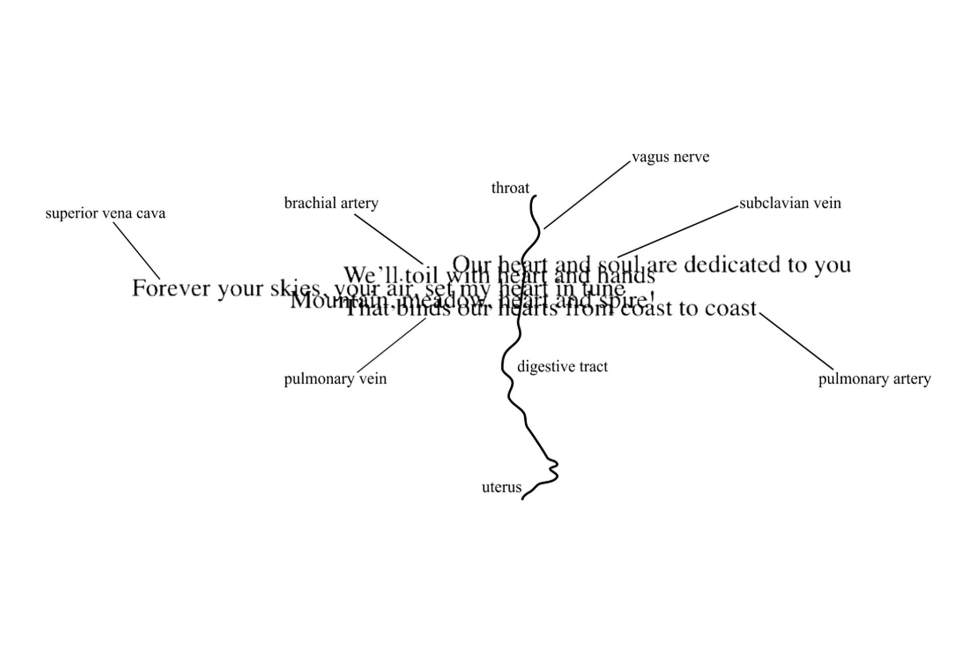 Lines from multiple national anthems each containing the word heart superimposed over each other, with branches leading outward to  words like "uterus" throat" and "pulmonary artery," among others.