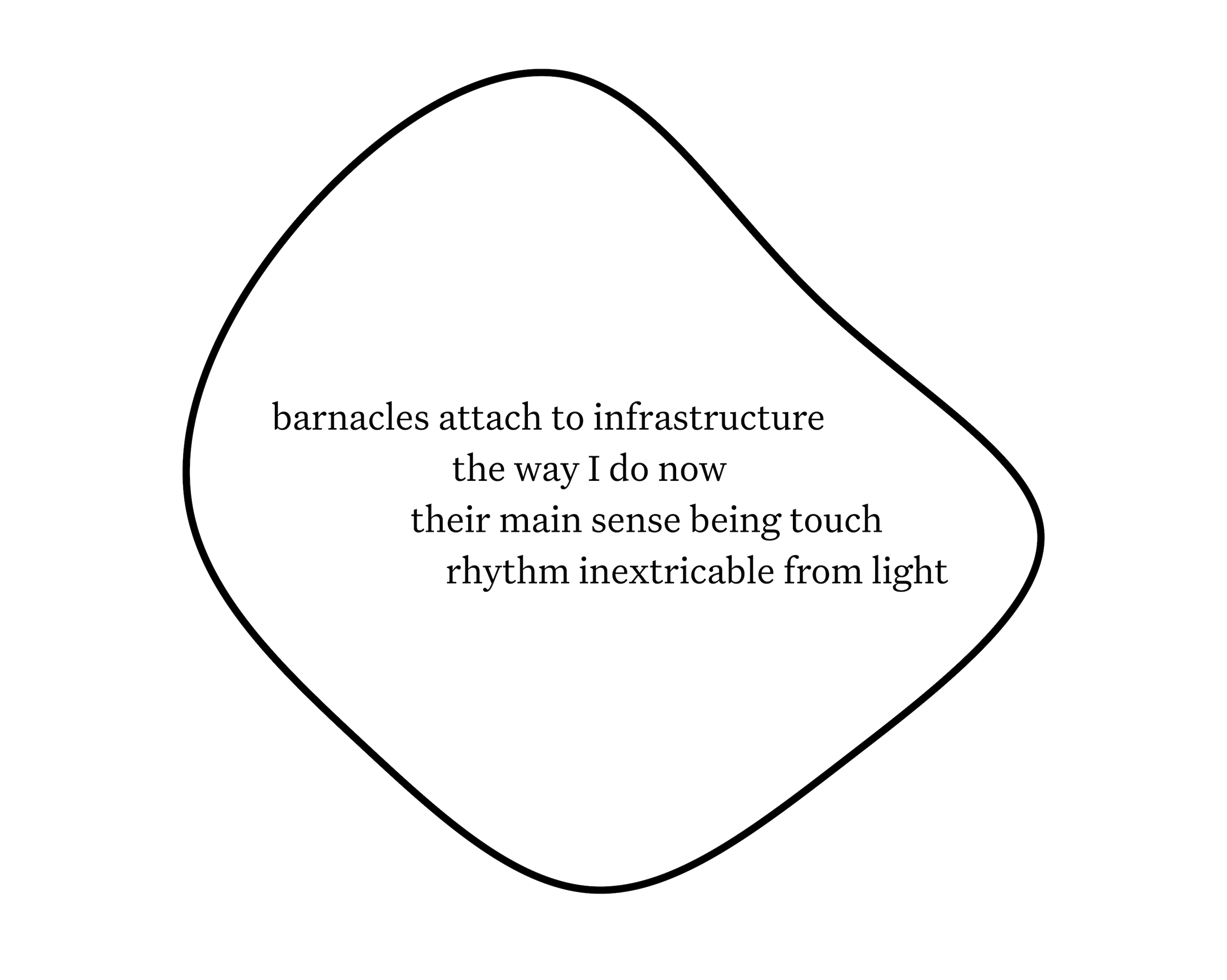 
 Four horizontal lines of verse appear inside a line-drawn blob that is centered on the page: “barnacles attach to infrastructure / the way I do now / their main sense being touch / rhythm inextricable from light”
 