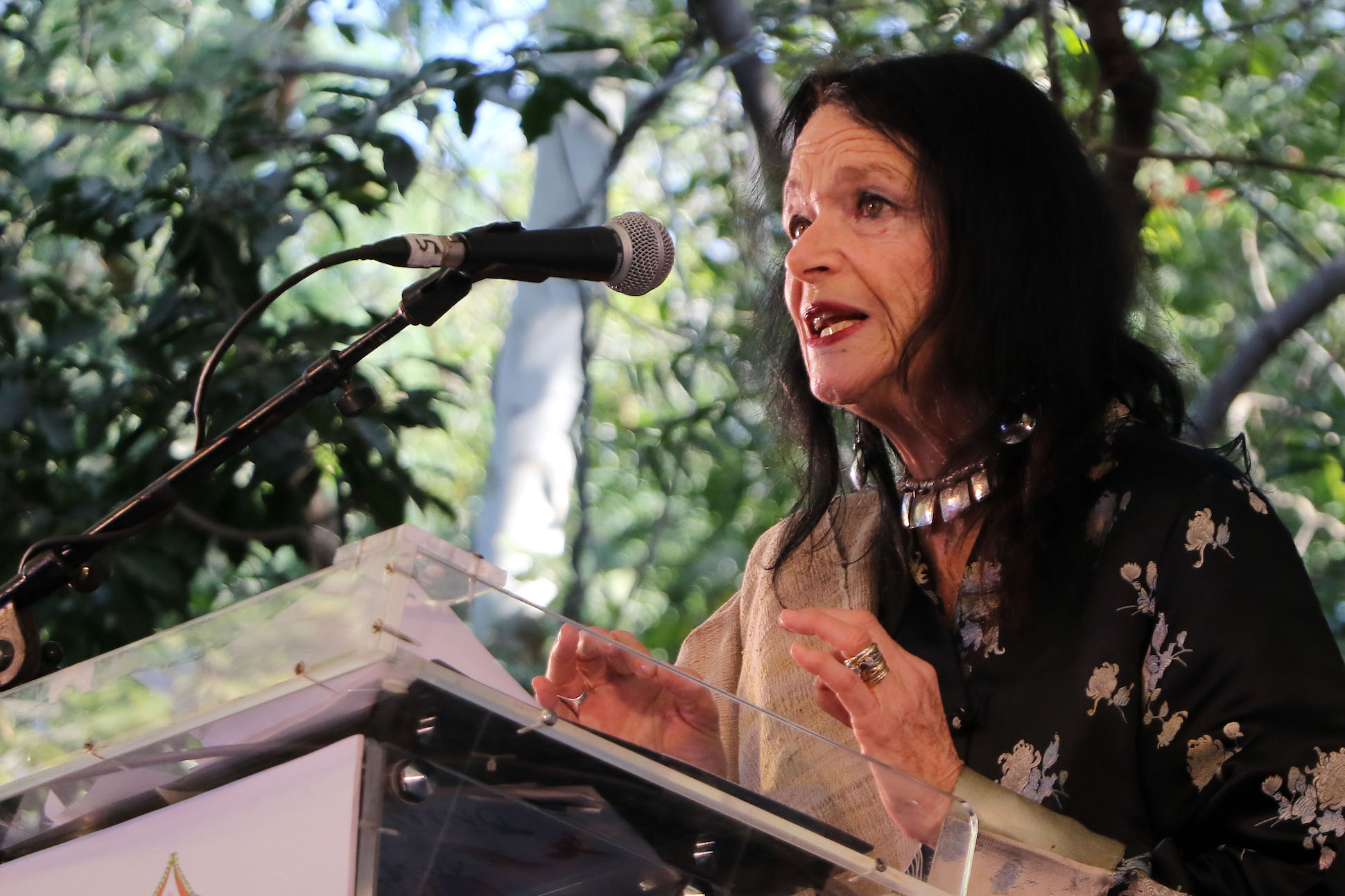 Book of Tricks by Nora Caplan-Bricker | Poetry Foundation