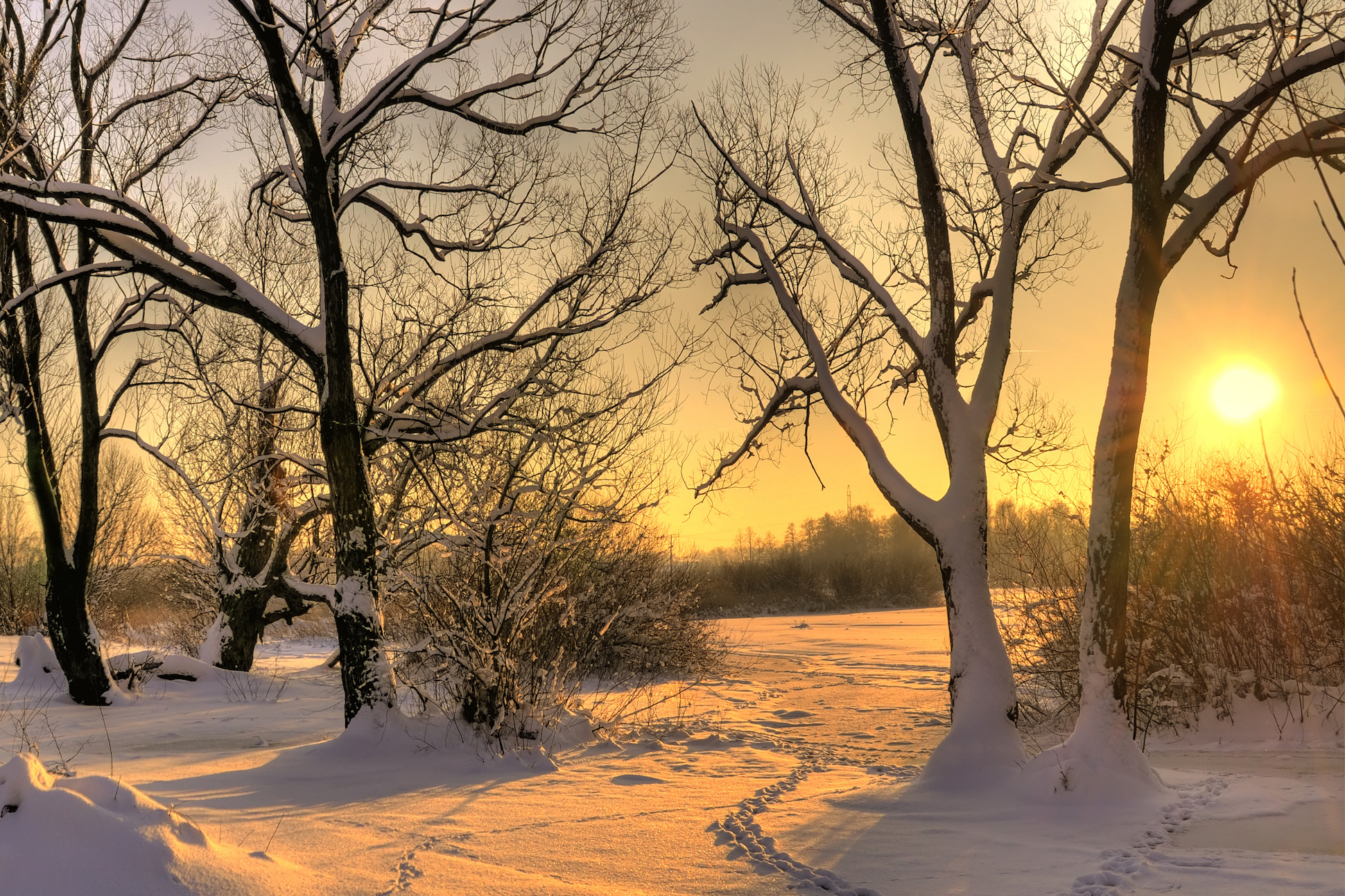 Winter Poetry By Annie Finch Poetry Foundation