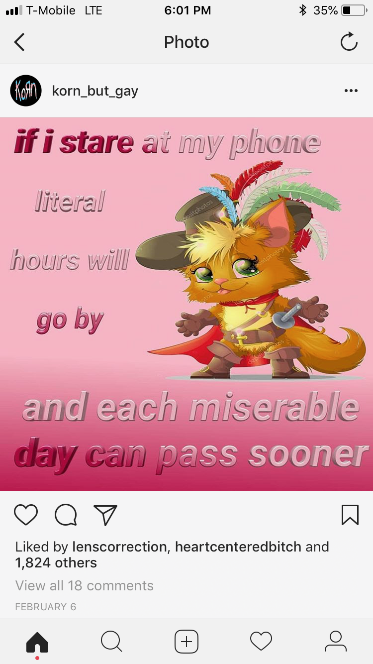 Meme by korn_but_gay: if i stare at my phone literal hours will go by and each miserable day can pass sooner