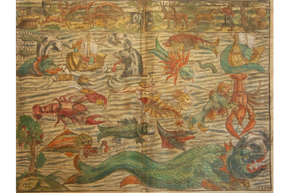 Justin rollins essay 04 image