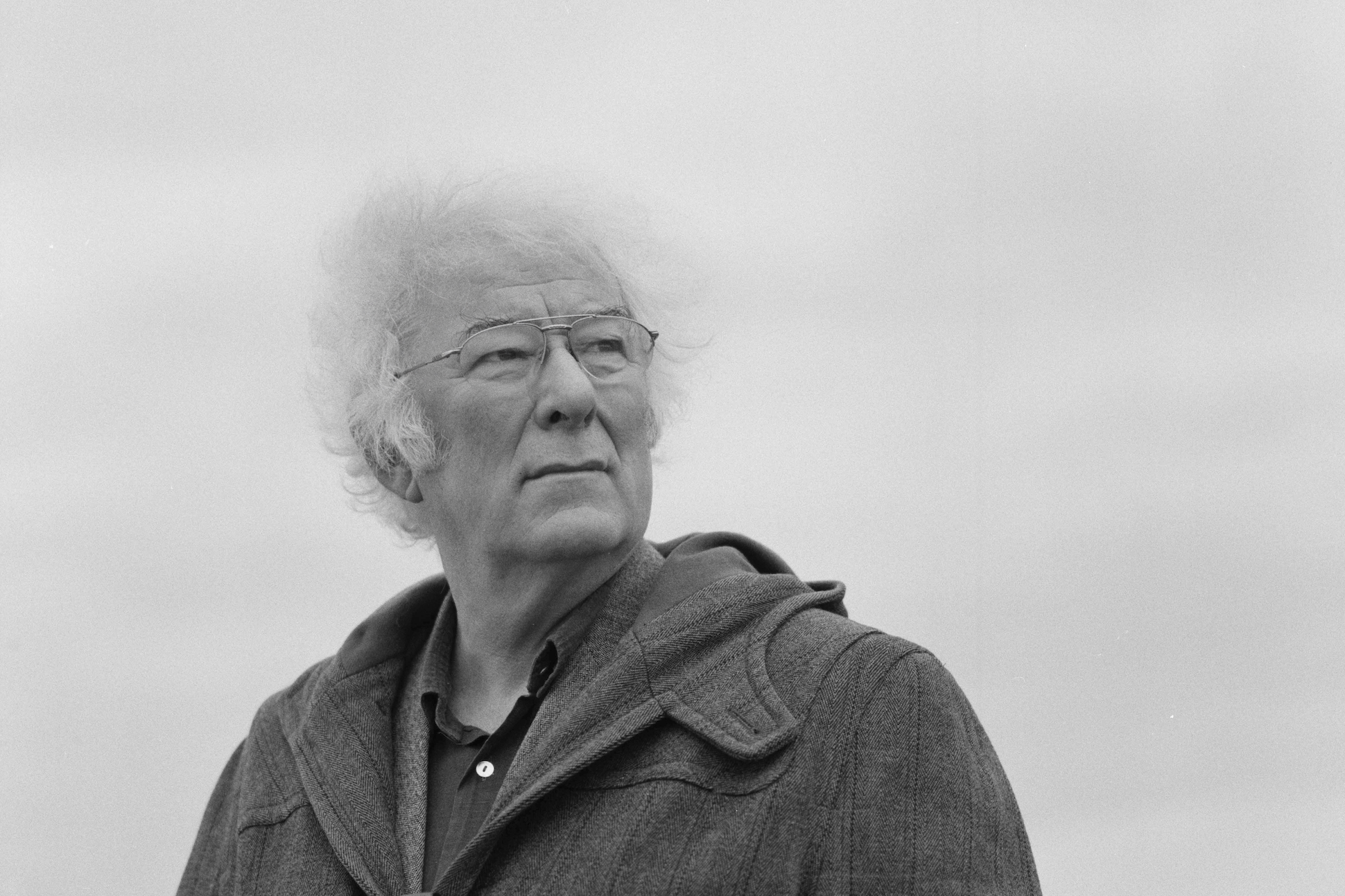 Seamus Heaney Poetry Foundation