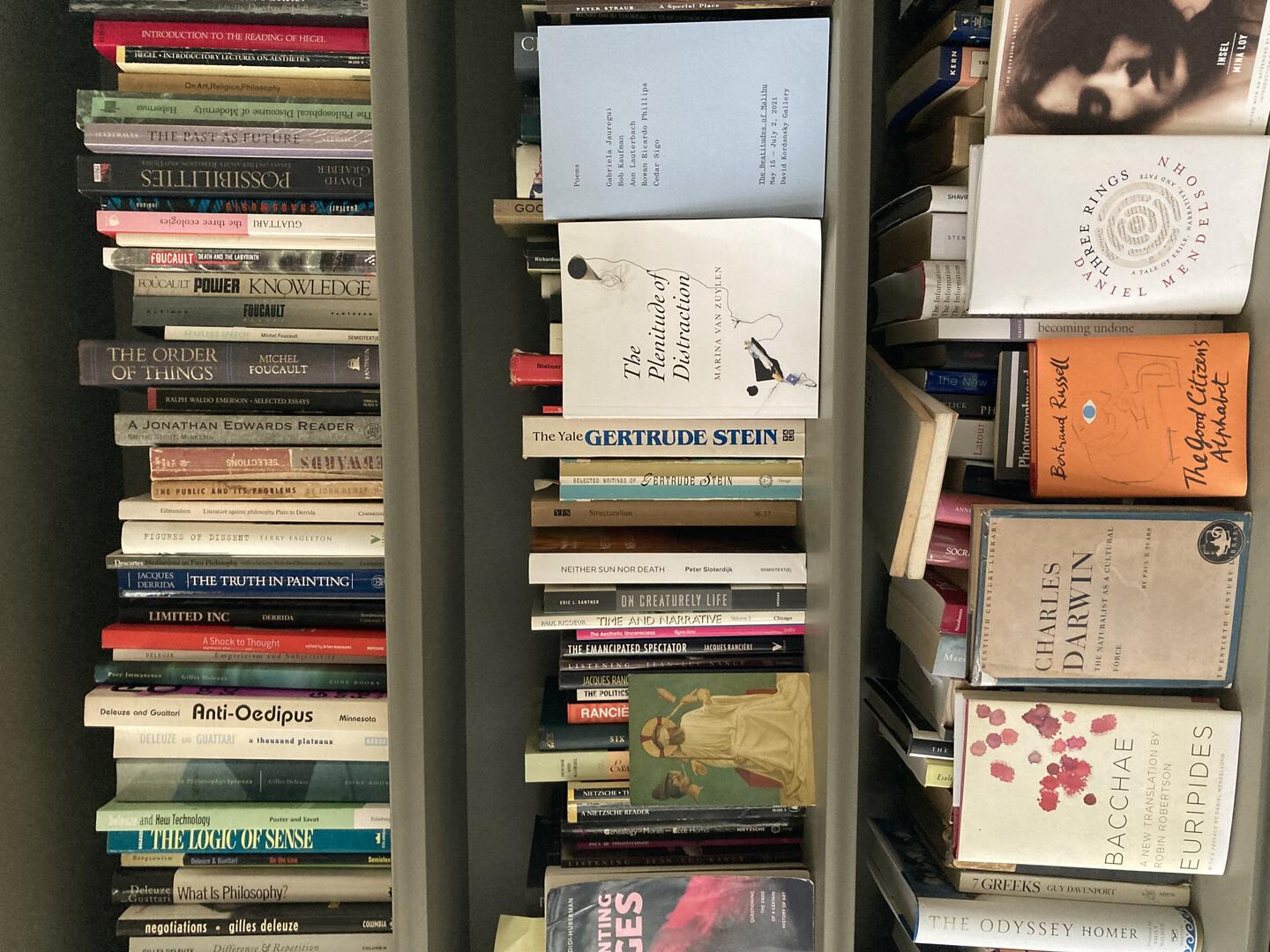 Color photo: Three shelves of books with some title sfacing outward.